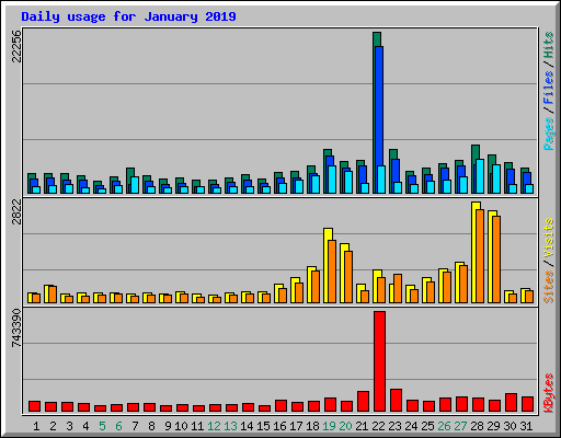 Daily usage for January 2019