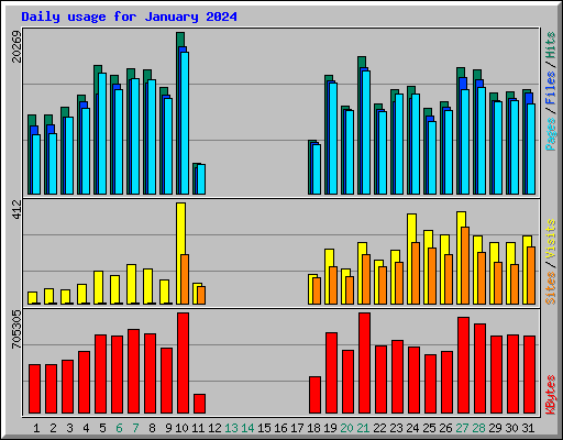 Daily usage for January 2024