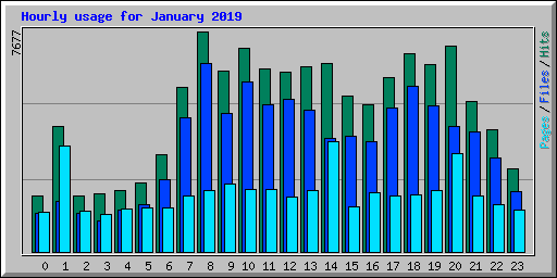 Hourly usage for January 2019