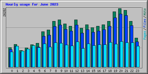 Hourly usage for June 2023