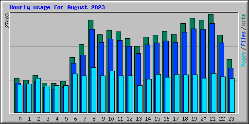 Hourly usage for August 2023