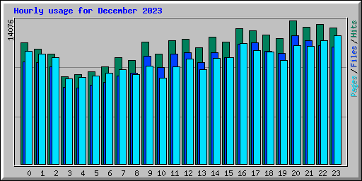 Hourly usage for December 2023