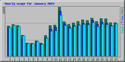 Hourly usage for January 2024