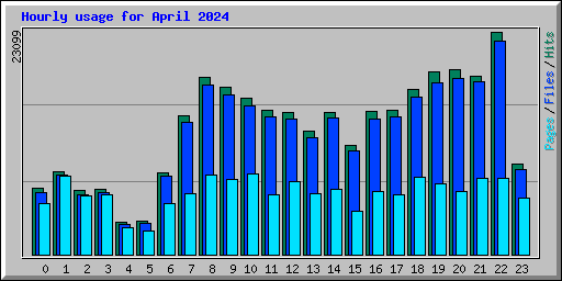 Hourly usage for April 2024